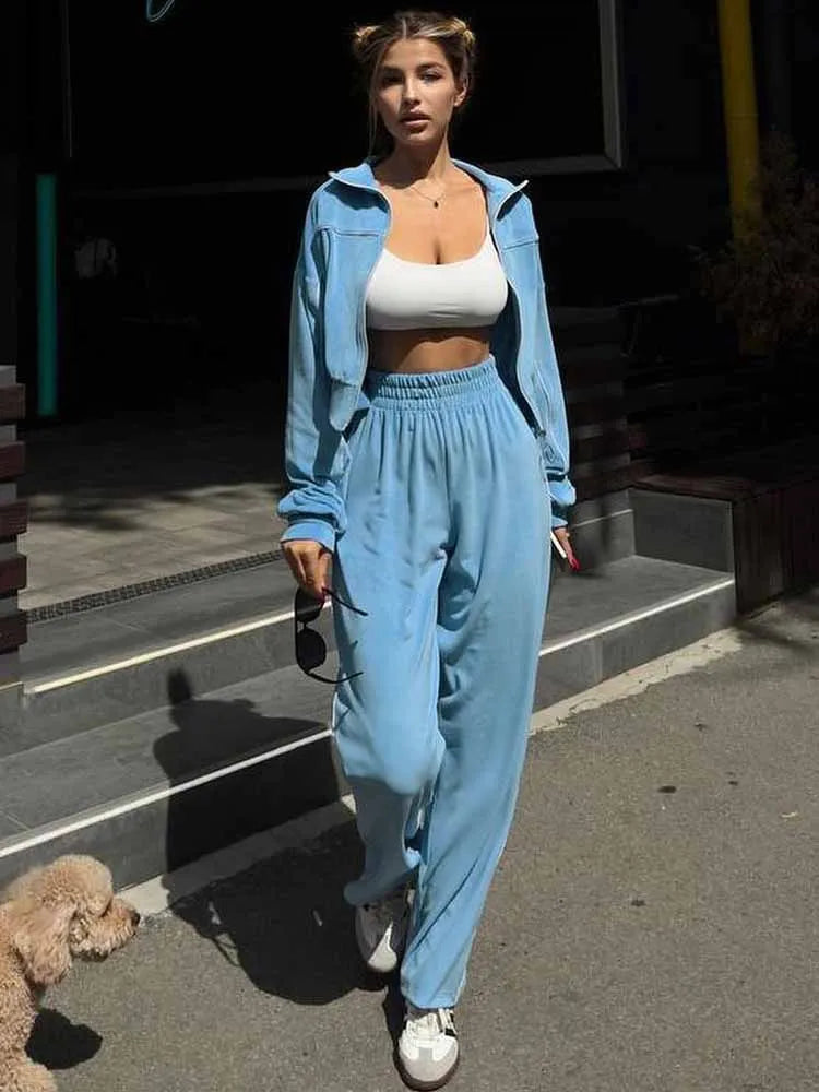 BKQU Women Sweatshirt Pants Suit Casual Stand Collar Zip-Up Jackets Loose Elastic Waist Pants Set Female 2025 Velvet Tracksuits